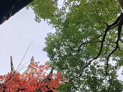 -胡雪岩故居