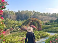 -东莞植物园