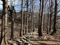 -信阳灵山风景区