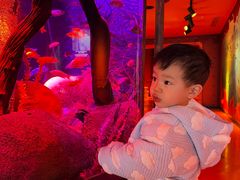 -沈阳海洋探索中心