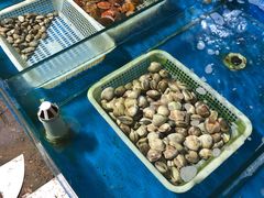 水产区-金渔村海鲜烧烤大排档