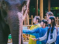 -英孚教育青少儿英语(长宁来福士中心)