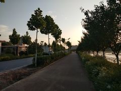 -王妃家(明洞中央店)