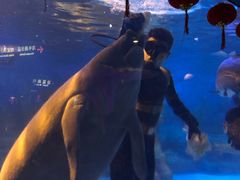 -烟台海昌鲸鲨海洋公园