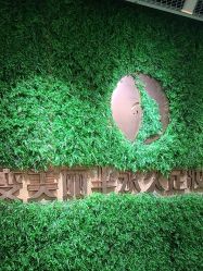 -变美丽半永久纹眉连锁·机器野生眉•洗眉