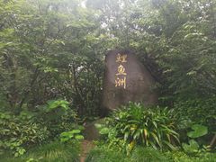 -福建鲤鱼洲酒店