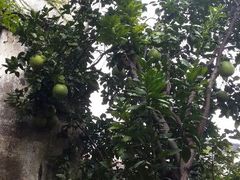 android_upload_pic-留荫庐旅馆