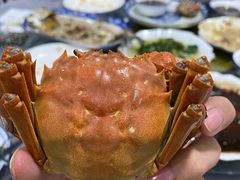 -乡乐园蟹庄·阳澄湖农家乐
