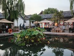 -百花洲