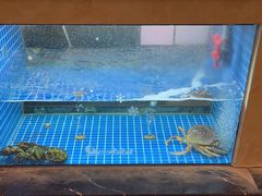 -诚园新喜洋餐厅