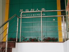 -上海昆虫博物馆