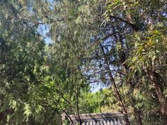 -红螺寺