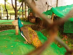 -陕西自然博物馆