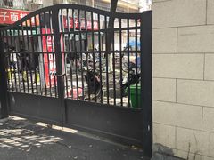 -虎子面粉馆(五一东村店)