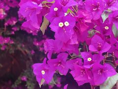 -云南师范大学(一二一西南联大校区)