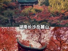 -香山公园