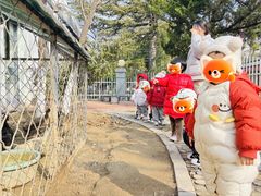 -北科婴幼学苑