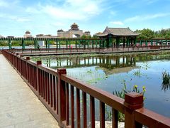 -莲花池公园