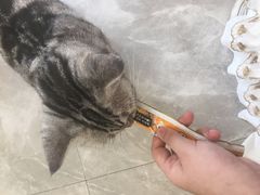 -猫力发电所·宠物专门店