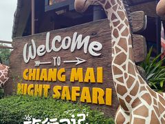 -清迈夜间动物园