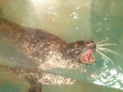android_upload_pic-上海大自然野生昆虫馆