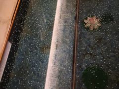 -国信南山温泉
