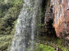 -龙苍沟森林公园