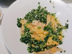 -新雅粤菜馆(南京东路店)