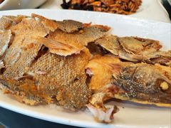 蒜香鲈鱼-鲁菜根·泰山菜(普照店)