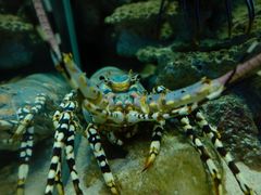 -鹿儿岛水族馆