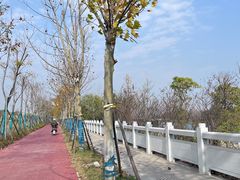 -华谊兄弟（长沙）电影小镇