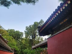 -北京植物园南门售票处