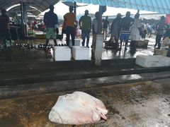 -尼甘布海鲜市场