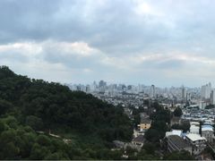 -金鸡山公园