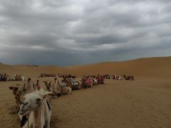 -银肯塔拉沙漠生态旅游景区