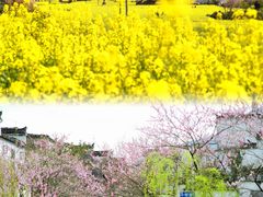 -婺源风景区