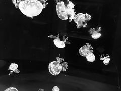 -石林冰雪海洋世界