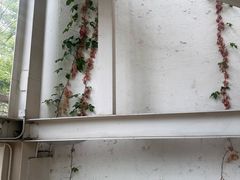 -無用生活空间(北京店)