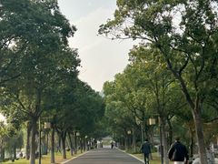 -东钱湖旅游度假区