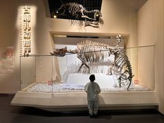 -国家自然博物馆