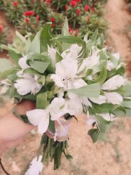 -巴黎婚纱摄影工作室