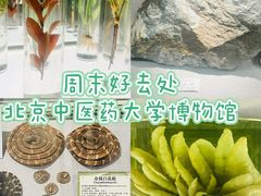 -北京中医药大学-中医药博物馆