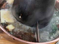 -东镇老火锅(长春路首店)