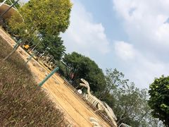 -海珠儿童公园