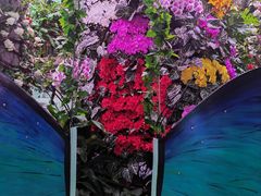 -正佳雨林生态植物园