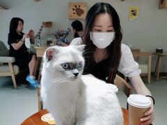 -藏猫猫咖啡主题馆(中央大道店)