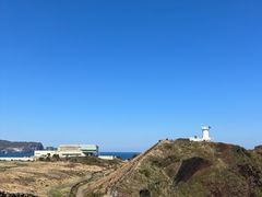 -涉地可支