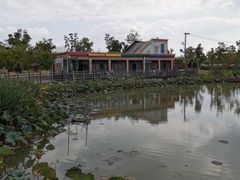 -上海长兴岛郊野公园