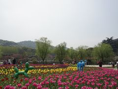 景点-白马涧龙池景区