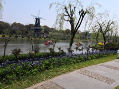 -上海鲜花港